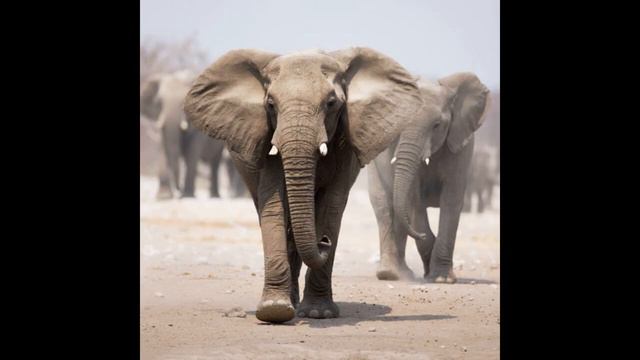 Юность Иисусу | Сборник старых христианских песен