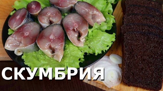 Как засолить СКУМБРИЮ в домашних условиях | Рецепт малосольная Скумбрия