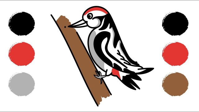 Как нарисовать ДЯТЛА / Раскраска ДЯТЕЛ / How to draw a WOODPECKER / WOODPECKER coloring