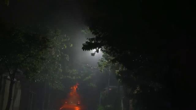 ?️Шум Дождя по Крыше старой | Звуки дождя и грома для сна и радует душу