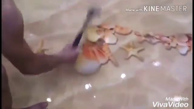 3d пол. Полимерные наливные полы  в Томске