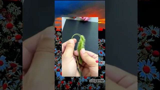 сделай!!!