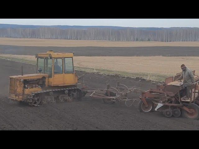 ДТ-75,  посевная, 12.05.2024