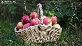 Корзинка  из круглого донышка.