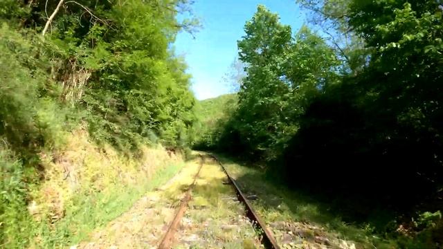 ?Train Cab Ride Bulgaria??: The slowest train in the world???!! Gueshevo - Kyustendil