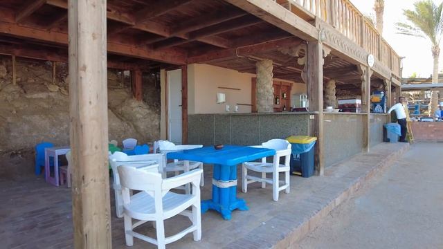 Пляж и риф отеля Parrotel Beach Resort 5* (Парротель пляж море)