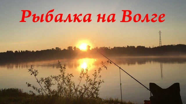 Рыбалка на фидер на реке. Ловля леща и плотвы на Волге