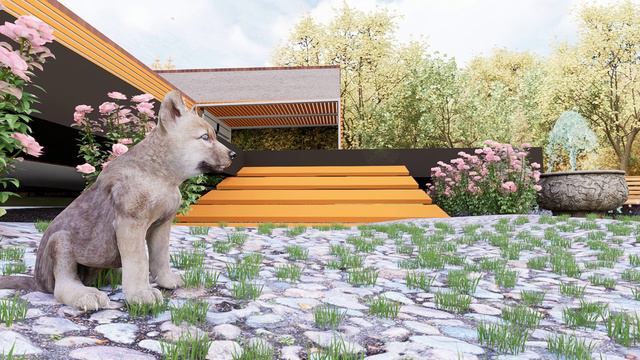 3D анимация. Уютный загородный коттедж
