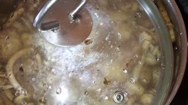 Опята как отварить в домашних условиях быстро.Опята как заморозить.Жук прикол!