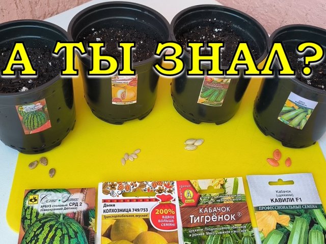 АПРЕЛЬ: что сеем на рассаду из ОВОЩЕЙ🍅🍆🥕