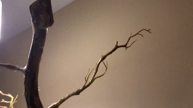 Минимализм Декор своими руками Коряга в интерьере DIY