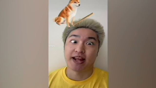 CRAZIEST Sagawa1gou Funny TikTok Compilation | Try Not To Laugh Watching Cactus Dance Challenge 202