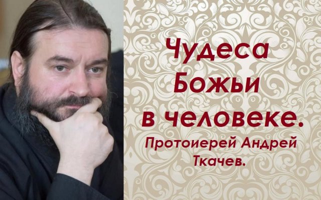 О бесплодности и ничтожности человека. Протоиерей Андрей Ткачев.