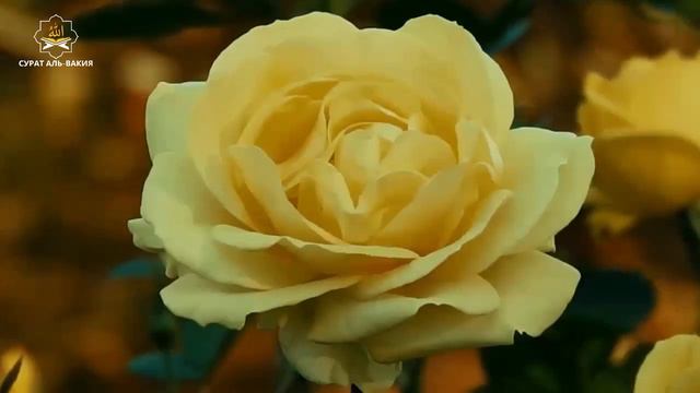 Сильная дуа За успех детей богатства #дуа #quran