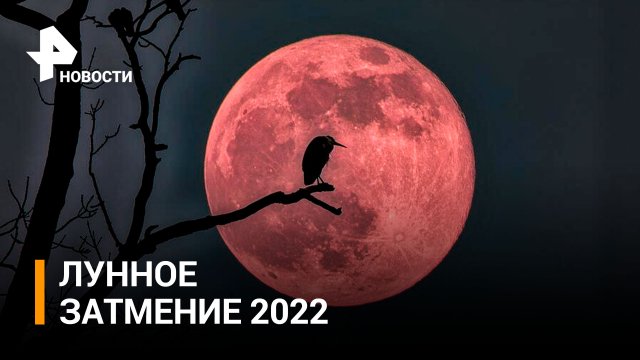 "Кровавая Луна": красивые кадры с редким явлением / РЕН Новости