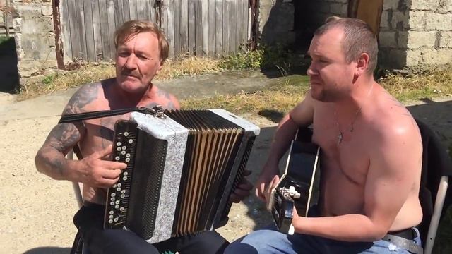 Анатолий Пилюгин и Николай Пилюгин - Лебеди