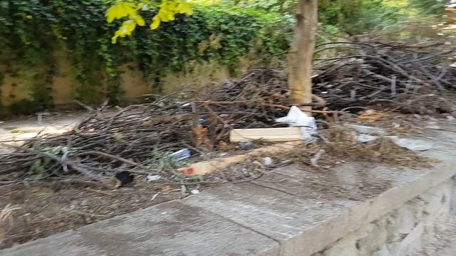 Добралась до реки Малый Салгир/все супер