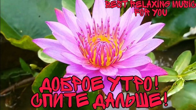 Музыка для релакса, всем доброе утро, можете ещё поспать #сон #релакс #отдых #музыка #пейзажи #фон