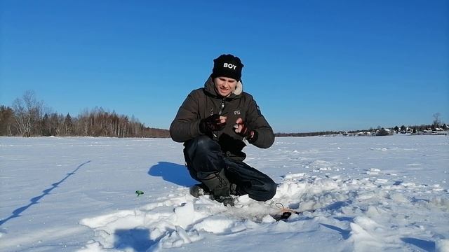 Окунь зимой. Как и на что ловить окуня.