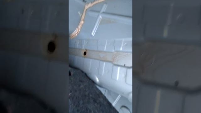 Вода в багажнике Рено Флюенс.