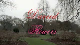 Daveed ?? Flowers