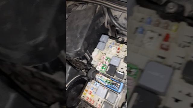 форд фокус 3 ошибка двигателя срочно сервис
