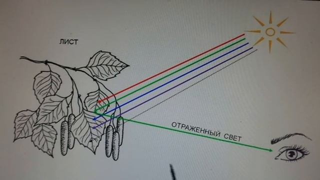 ТАЙНА СВЕТА: ИЛЛЮЗИЯ ВСЕГО Удивительные свойства света
