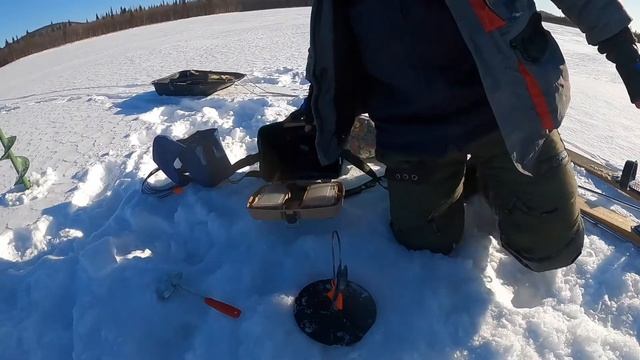 Кольский полуостров| Озёра Мурманской области| Зимняя рыбалка| На окуня| Март