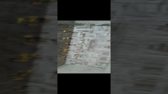 жизнь Строителя
