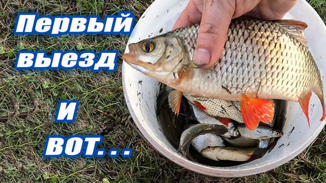Первый выезд и вот...