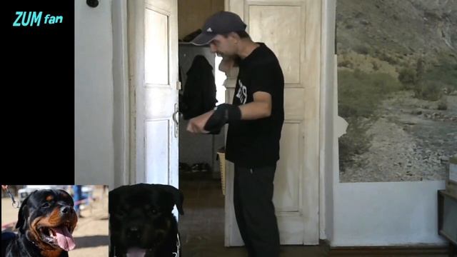 КАК ЗАЩИТИТЬСЯ ОТ НАПАДЕНИЯ ЛЮБОЙ СОБАКИ / ОБОРОНА ОТ СОБАК | ЗАЩИТА ПРИ НАПАДЕНИИ СОБАК