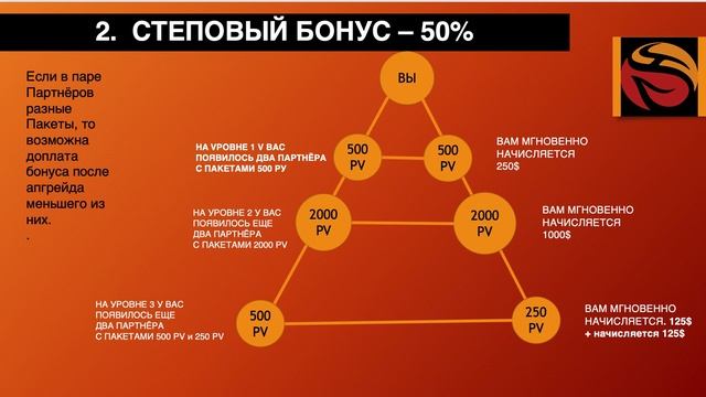 МАРКЕТИНГ ПЛАН WHIEDA