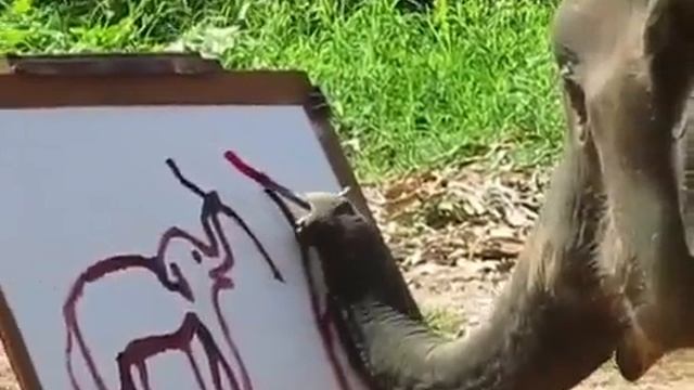 Слон рисует слона