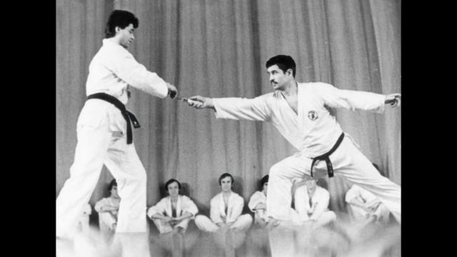 МОИ ЗВЕЗДЫ VHS ТАДЕУШ КАСЬЯНОВ (Tadeusz Kasyanov)