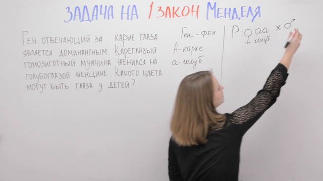 Задача на 1 закон Менделя. Генетика