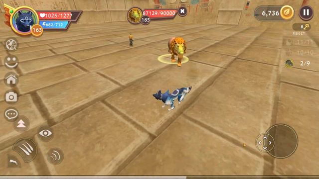 ТОП 5 ПИТОМЦЕВ в WILDCRAFT