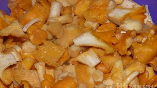 Заморозка лисичек на зиму