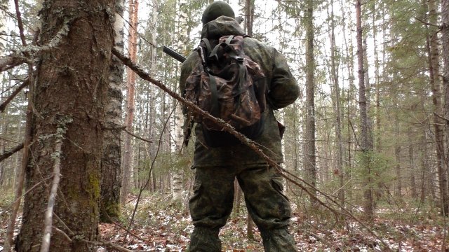 Охота осенью в тайге, добыл мяса.