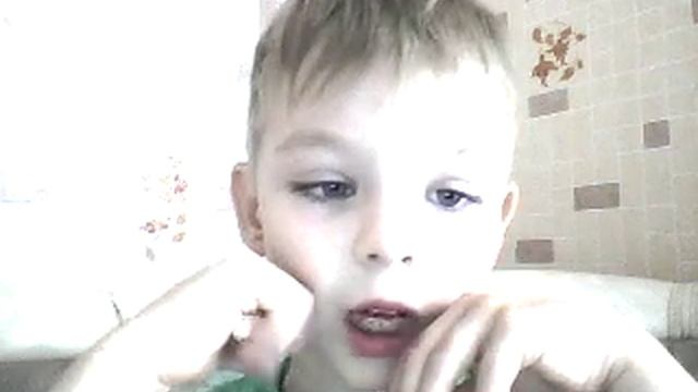 учимся различать хищных зверей от домашних животных