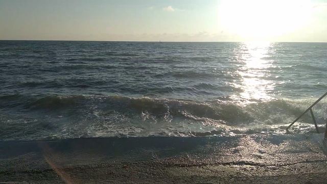 20220816_183719.mp4