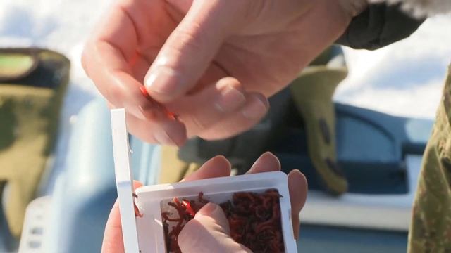 2 Народный проект Алтай Озеро Горькое-Перешеечное Диалоги о рыбалке