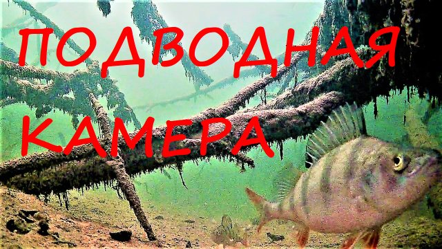 ПОДВОДНАЯ КАМЕРА НА ЗИМНЕЙ РЫБАЛКЕ