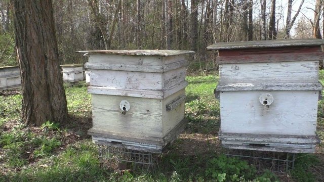 весна. КАКИЕ ОТКРЫВАТЬ ЛЕТКИ В УЛЬЕ и на сколько.