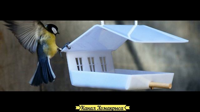 ? Как сделать кормушку для птиц своими руками Идеи кормушек для птиц Оригинальные кормушки