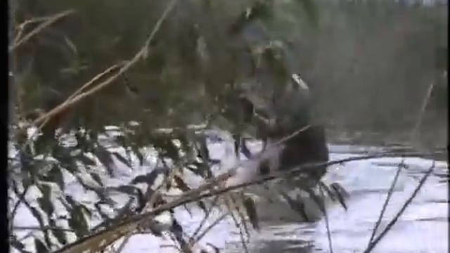 группа Контингент А у разведчика судьба порой.mp4