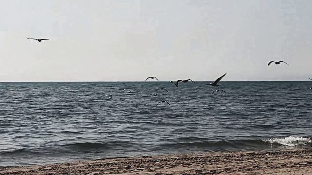 Океан. Звук волн для медитации, расслабления и умиротворения