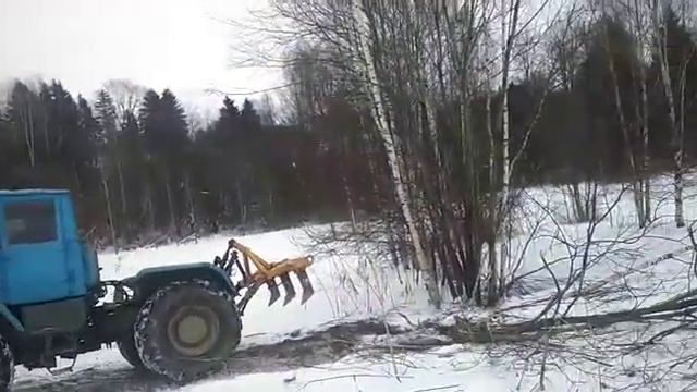 Выкорчевка деревьев трактором (очистка полей от мелколесья)