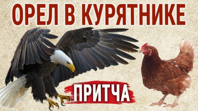 Орёл в Курятнике! Мудрая притча о предназначении человека и его самооценке