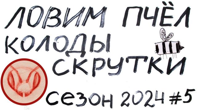 Ловим пчёл колодами скрученными из ДВП или фанеры и картона. Как развешивать колоды ловушки