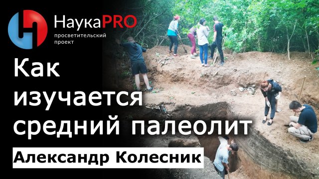 Как изучается средний палеолит – Александр Колесник | Неандертальцы | Лекции по археологии | Научпоп
